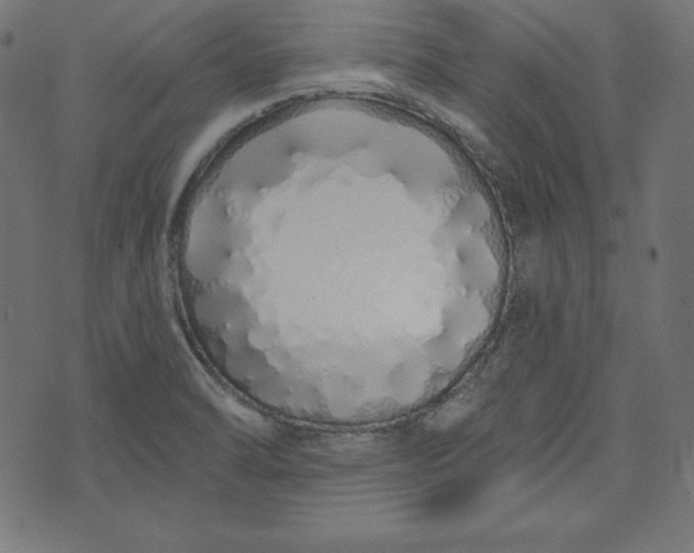 X0000073701470200608171101