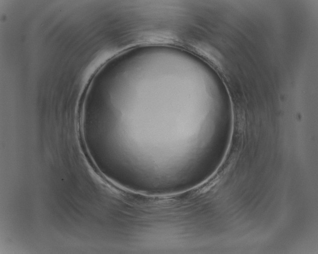 X0000073701471200608171101