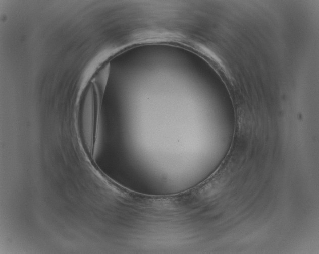 X0000073701472200608171100