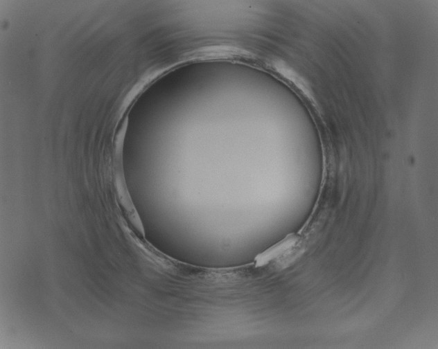 X0000073701473200608171100