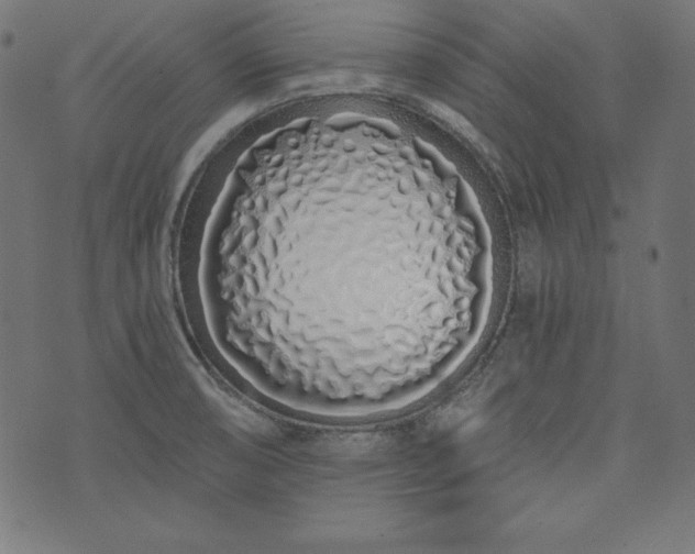 X0000073701474200608171100