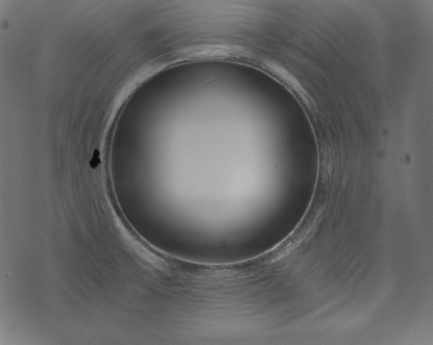 X0000073701475200608171100