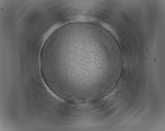 X0000073701479200608171100