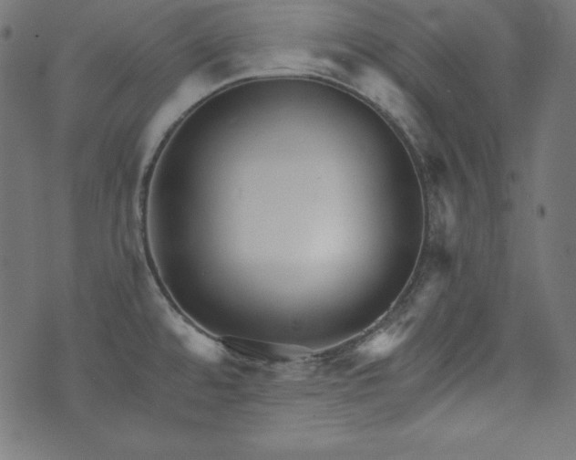 X0000073701480200608171100