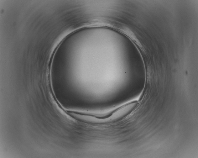 X0000073701484200608171100