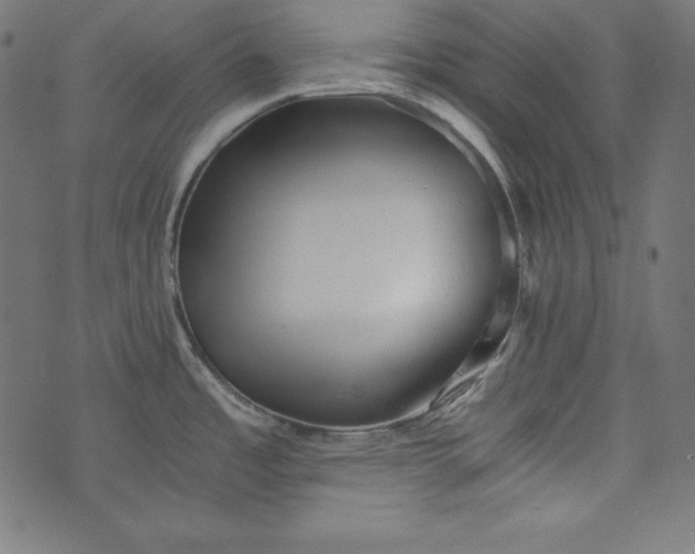 X0000073701485200608171100