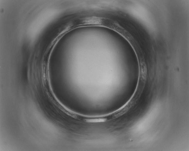 X0000073701487200608171100