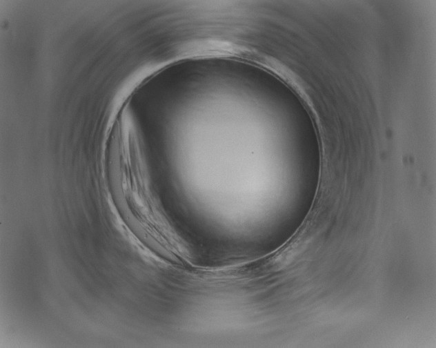 X0000073701488200608171100