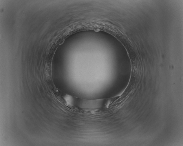 X0000073701490200608171059