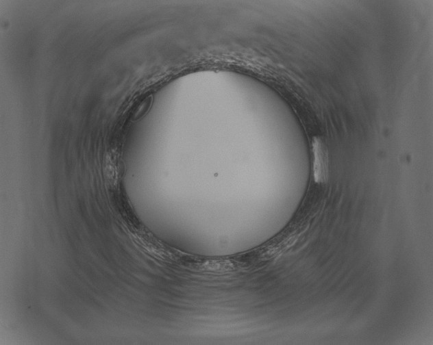 X0000073701491200608171059