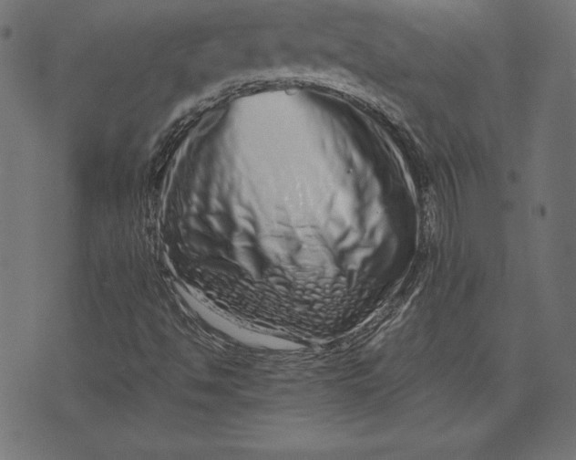 X0000073701494200608171059