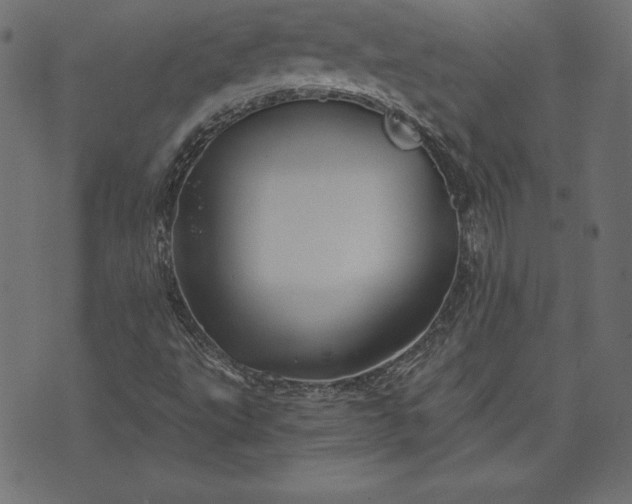 X0000073701495200608171059