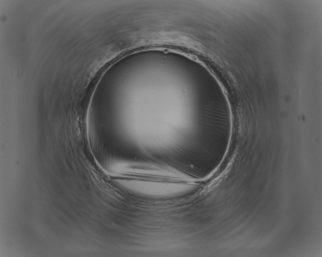 X0000073701497200608171059