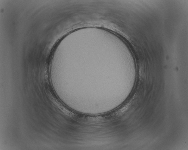 X0000073701498200608171059