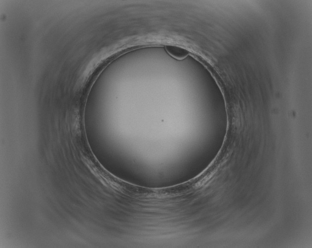 X0000073701499200608171100