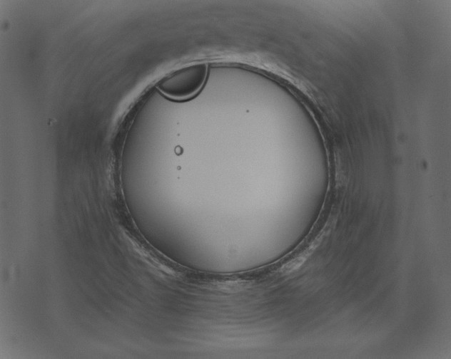 X0000073701502200608171100