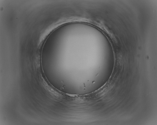 X0000073701504200608171100