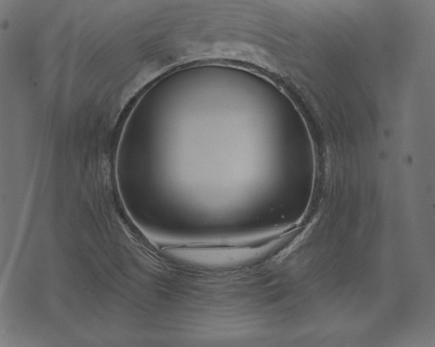 X0000073701505200608171100