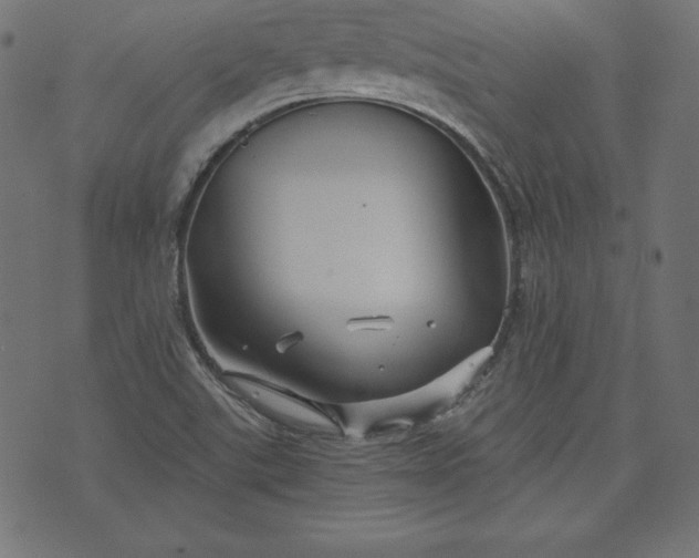 X0000073701507200608171100