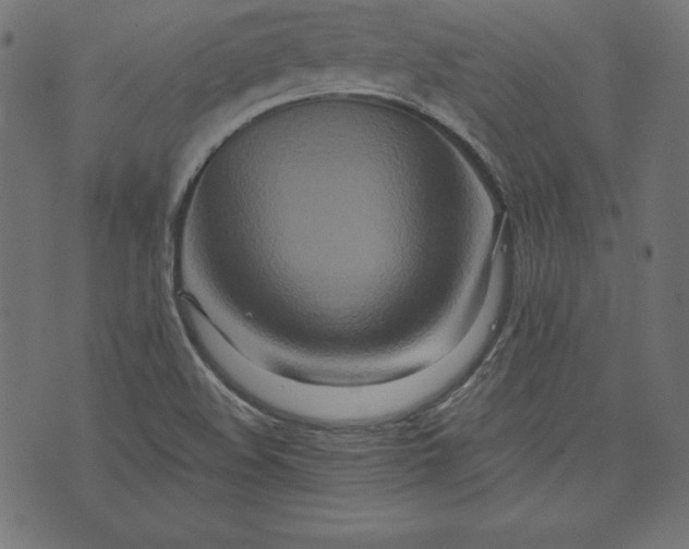 X0000073701508200608171100