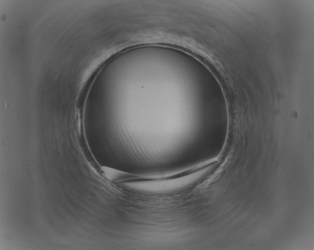 X0000073701509200608171100