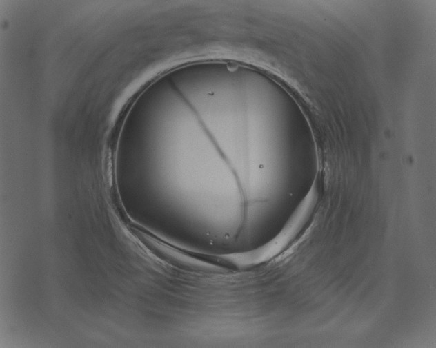 X0000073701510200608171100