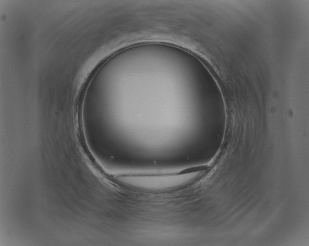 X0000073701511200608171100