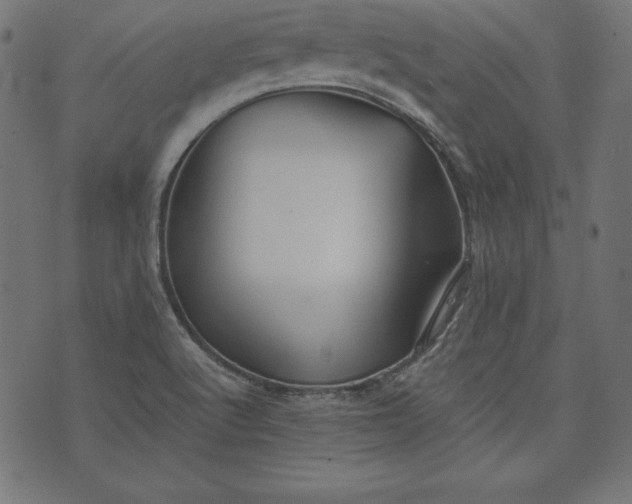 X0000073701512200608171100