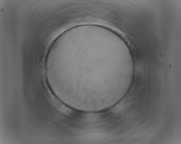 X0000073701514200608171100