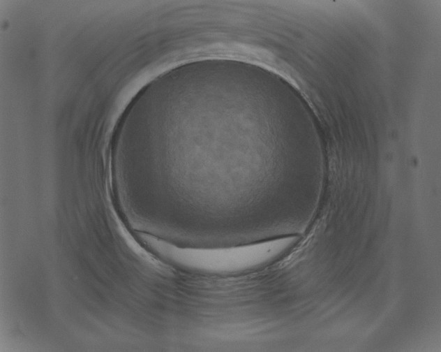 X0000073701515200608171100