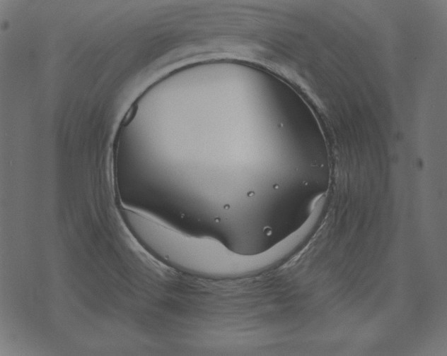 X0000073701516200608171100