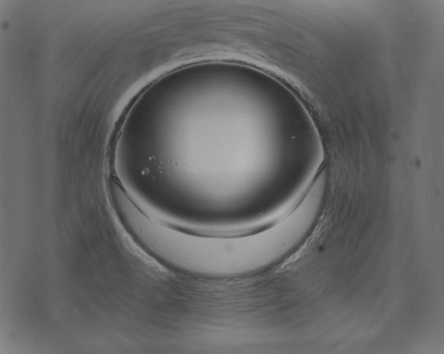 X0000073701518200608171100