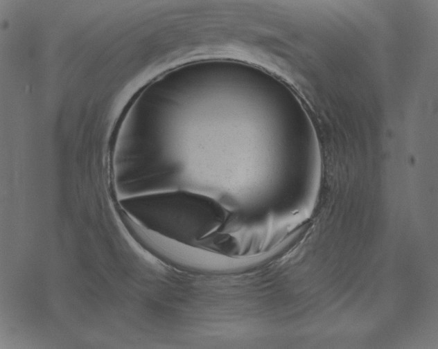 X0000073701519200608171100