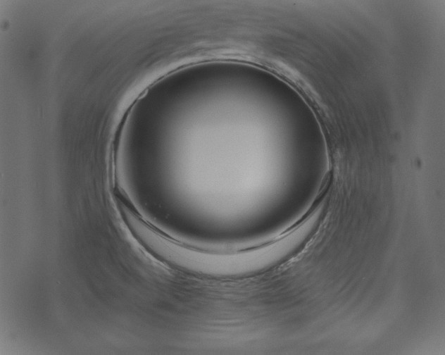 X0000073701520200608171100