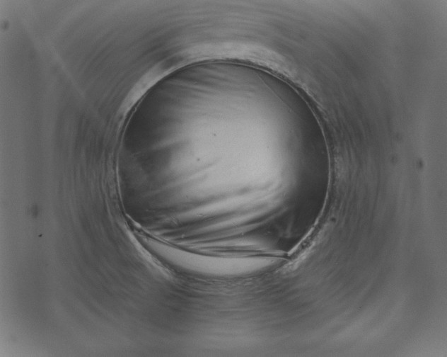 X0000073701521200608171100