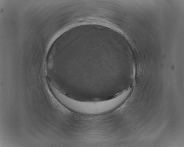 X0000073701522200608171100