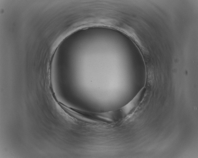 X0000073701524200608171100