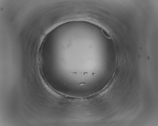 X0000073701526200608171100