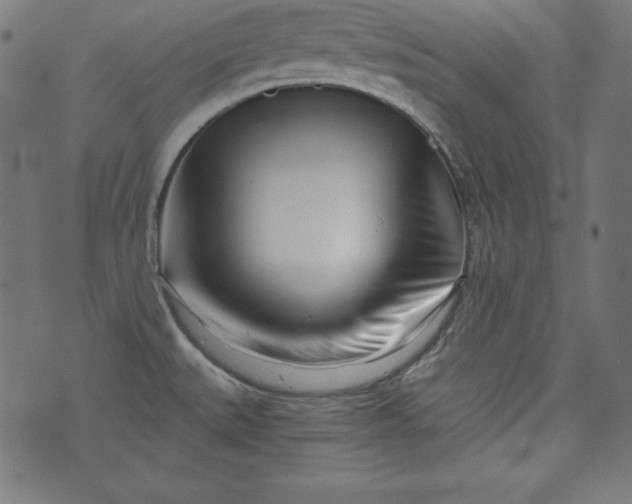 X0000073701527200608171100