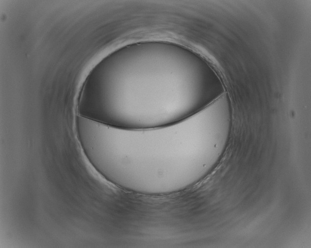 X0000073701528200608171100