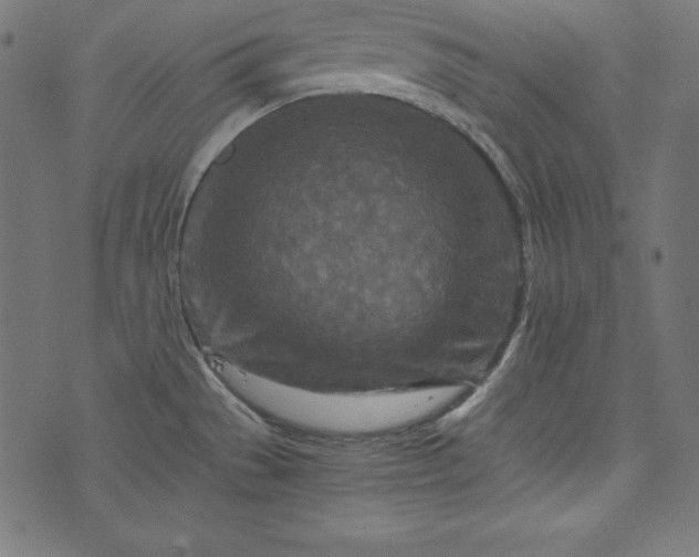 X0000073701529200608171100