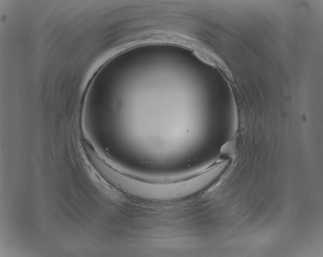 X0000073701530200608171100