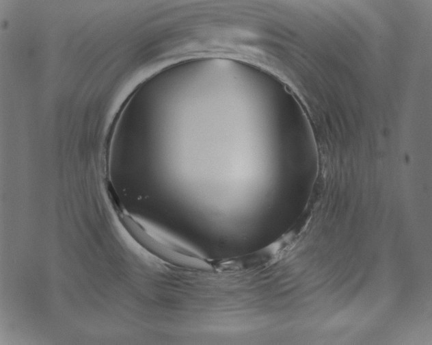 X0000073701531200608171100