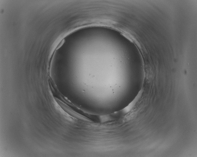 X0000073701532200608171100