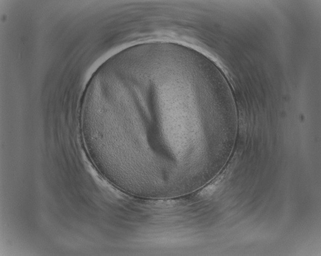 X0000073701534200608171100