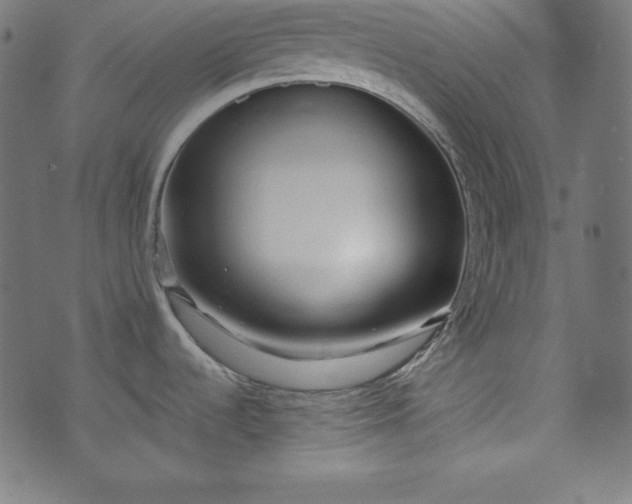 X0000073701536200608171100