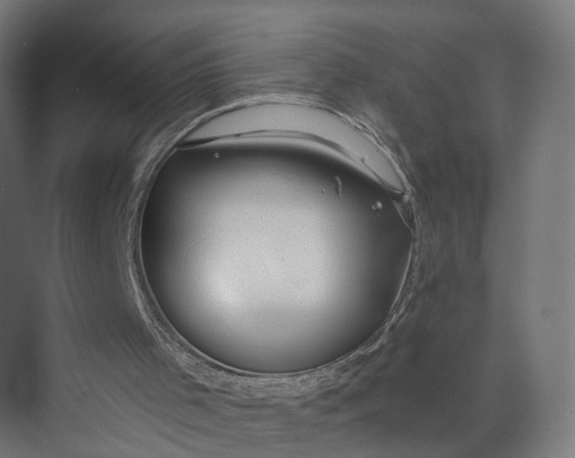 X0000073700001200608241429