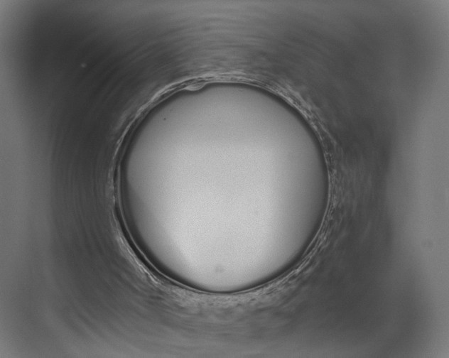 X0000073700002200608241429