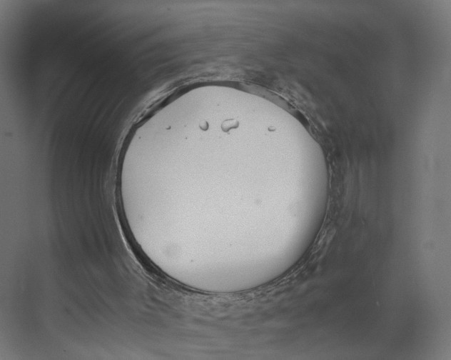 X0000073700003200608241429