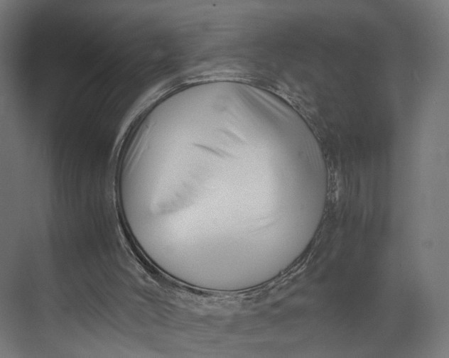 X0000073700004200608241429